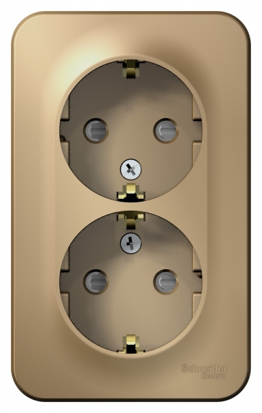 Schneider Electric  BLANCA  Титан  Розетка 2-местная с заземляющими контактами со шторками, 16А, 250В, открытая установка BLNRA011204
