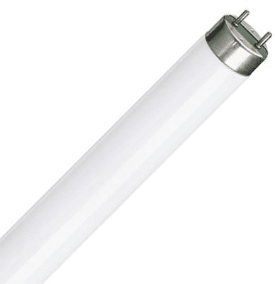 Люминесцентная лампа  Philips  T8  18Вт  4000К  G13