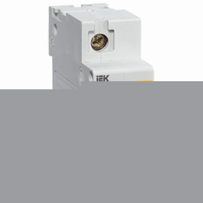 Выключатель автоматический  1П 100А  характеристика C  10кА  IEK  ВА47-100