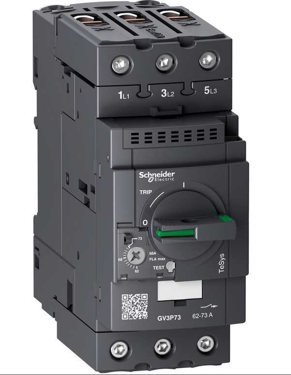 Автомат пуска двигателя 62-73А GV3P Schneider Electric /GV3P73/