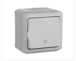 Legrand  Quteo  Серый Выключатель 2-полюсный IP44 782339