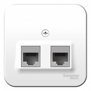 Schneider Electric  BLANCA  Белый  Розетка 2-местная компьютерная RJ45, категория 5E, изолирующая пластина, IP20  открытая установка BLNIA045451
