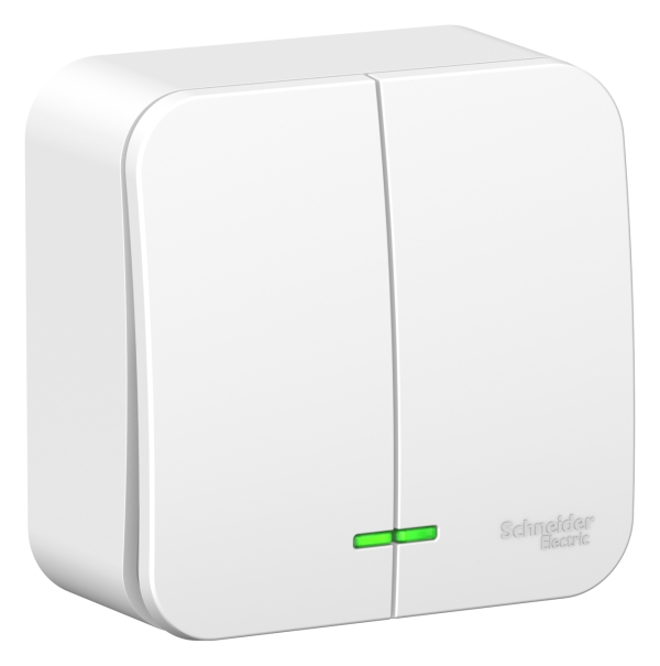 Schneider Electric  BLANCA  Белый  Выключатель 2-клавишный (cхема.5) с подсветкой изолирующая пластина, 6А, 250B, IP20  открытая установка BLNVA065111