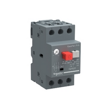 Автомат пуска двигателя 20-25A GZ1E Schneider Electric /GZ1E22/