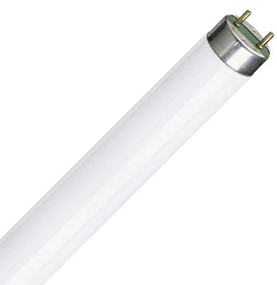 Люминесцентная лампа  Philips  T8  58,5Вт  3000K  G13