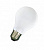 Стандартная лампа накаливания  OSRAM  А55  25Вт  230В  E27