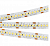 Arlight Лента  IP33 24V 19,2 Вт/м 6000K  RT6-3528-240 24V White 4x (1200 LED) (кратно 5)