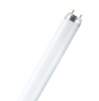 Люминисцентная лампа OSRAM L 38W/830 25X1 LF