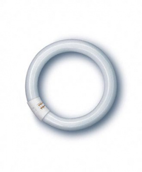 Люминесцентная лампа OSRAM L 22Вт 840 C круглая