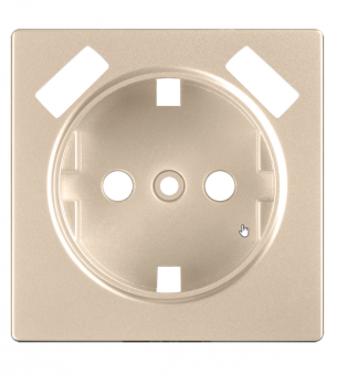 Werkel Шампань Накладка для USB розетки  WL11-USB-CP/