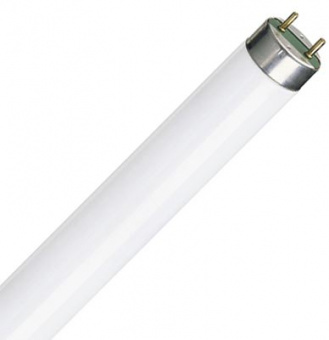 Люминесцентная лампа  Philips  T8   36Вт  4000К  G13
