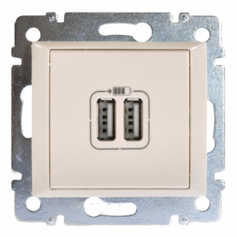 Legrand Valena  Слоновая Кость  Розетка 2 хUSB 774170