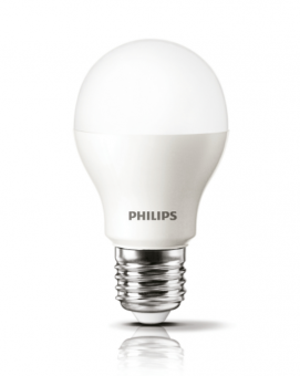 Светодиодная лампа  PHILIPS  A80  19Вт  230В  6500K  E27