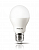Светодиодная лампа  PHILIPS  A80  19Вт  230В  6500K  E27