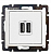 Legrand Valena  Белый  Pозетка 2-местная USB  694370