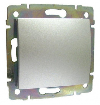 Legrand Valena  Алюминий Заглушка 770146