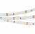 Лента Arlight IP20  12V  4,8Вт/м 4000К RT 2-5000 12V Day4000 (3528, 300 LED, LUX) (кратно 5)